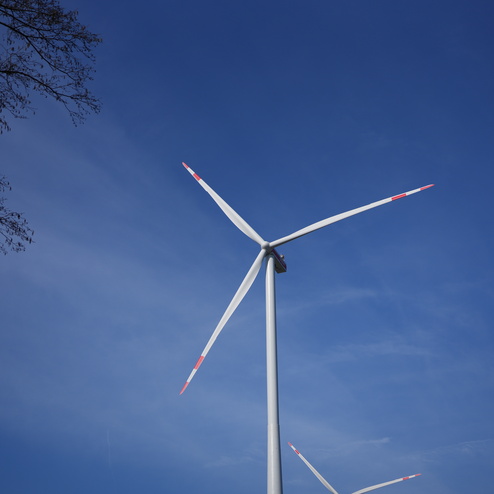 Drei Rotorbl&auml;tter eines Windrads mit rotem Markierung auf blauen Himmel, umgeben von &Auml;sten.
