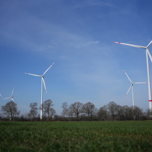 F&uuml;nf Windkraftanlagen stehen vor einem blauen Himmel in einem gr&uuml;nen Feld, umgeben von B&auml;umen im Hintergrund.