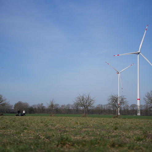 Drei Windkraftanlagen stehen auf einem offenen Feld, umgeben von B&auml;umen und einem blauen Himmel.