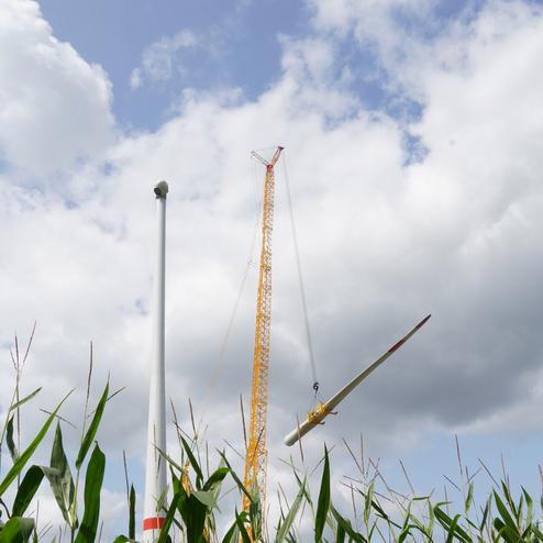 Bau einer Windkraftanlage: Ein Kran hebt eine Turbine &uuml;ber einem Maisfeld unter einem bew&ouml;lkten Himmel.
