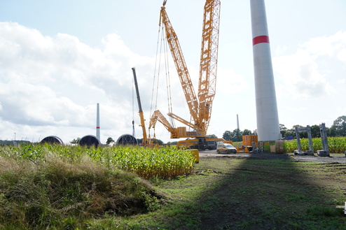 Bauarbeiten an einem Windpark mit einem gro&szlig;en gelben Kran und Windradteilen neben einem Feld aus Mais.