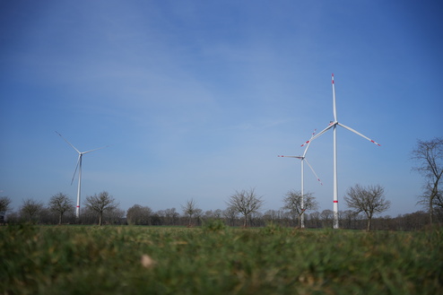 Drei Windkraftanlagen stehen auf einer Wiese unter blauem Himmel, umgeben von B&auml;umen.