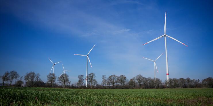 Feld mit Windkraftanlagen unter blauem Himmel, umgeben von B&auml;umen und gr&uuml;nem Gras im Vordergrund.