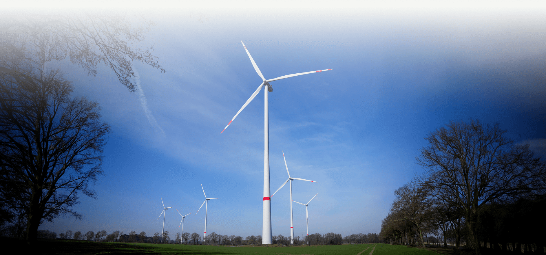 Windr&auml;der auf einem Feld unter blauem Himmel mit wenigen Wolken und vereinzelt stehenden B&auml;umen.